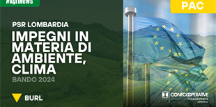 PSR Lombardia – Impegni in materia di ambiente, clima e...