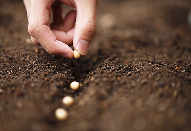 Collegato agricolo, ok definitivo dal Senato