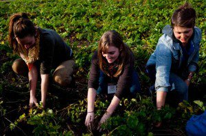 ALTERNANZA SCUOLA-LAVORO NELLE COOP AGRICOLE, SABATO CONVEGNO A MANTOVA