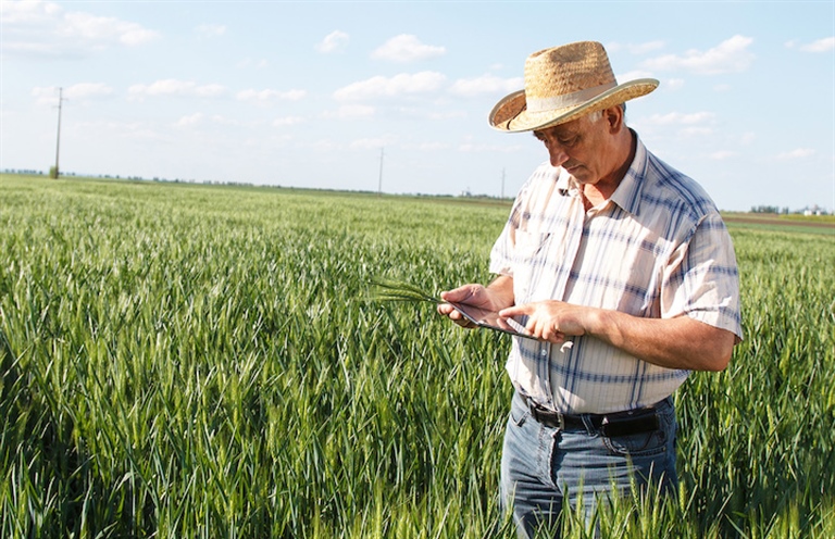 MILKCOOP INNOVATION, LA PIATTAFORMA DI OPEN INNOVATION PER LA COOPERAZIONE LATTIERO CASEARIA