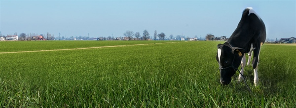 ASSESSORE FAVA AL CONVEGNO DEL CONSORZIO LATTERIE VIRGILIO "SAPORI E VALORI"