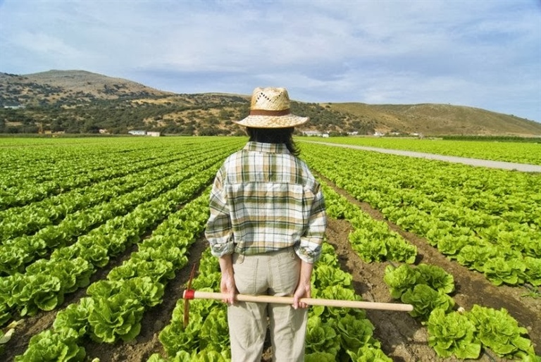 CIBO, AGRICOLTURA E FILIERE IN OTTICA COOPERATIVA