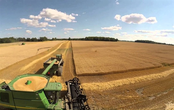 DALLA COOPERAZIONE IL DISTRETTO DELLA FILIERA CEREALICOLA LOMBARDA