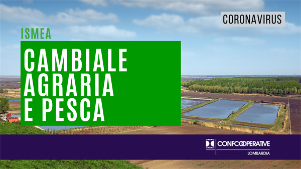 Covid-19, "Cambiale agraria e pesca" ISMEA, liquidità alle PMI agricole colpite dalla crisi