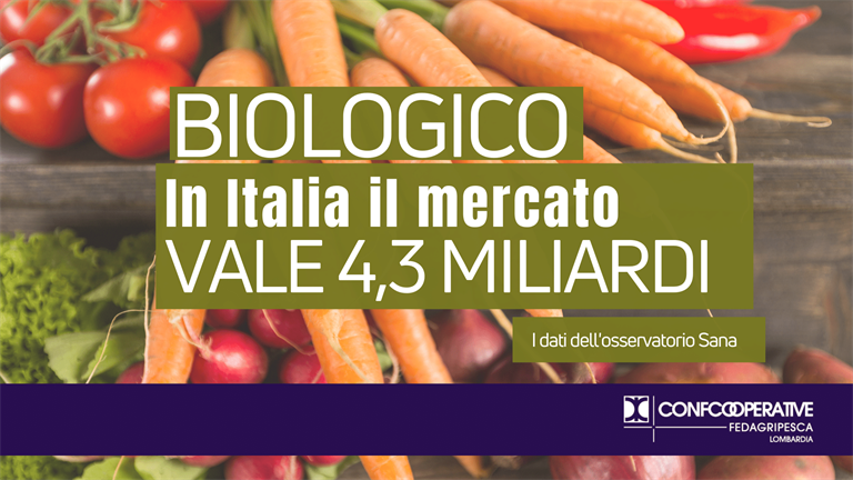 Biologico, il report Sana: mercato italiano vale 4,3 miliardi