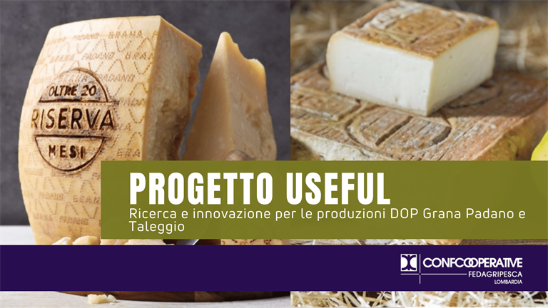 PROGETTO USEFUL: ricerca e innovazione per le produzioni DOP Grana Padano e Taleggio