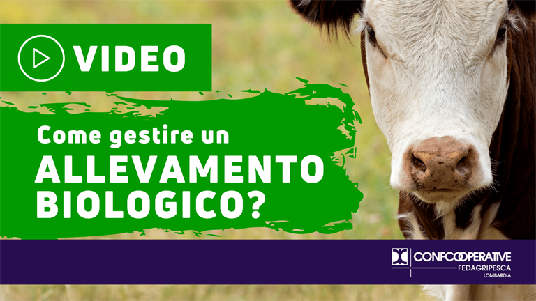 Allevamenti bio I Video consigli e suggerimenti tecnici