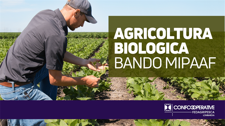 In Gazzetta Ufficiale nuovo bando MIPAAF per la ricerca in agricoltura biologica