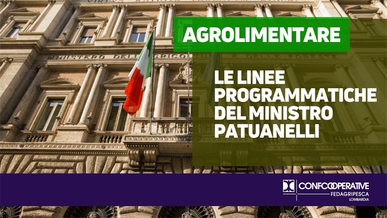 Competitività, innovazione e sostenibilità: le linee programmatiche del ministro Patuanelli per il settore agroalimentare