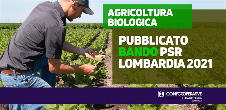 Agricoltura Biologica, pubblicato bando Bando PSR 2021
