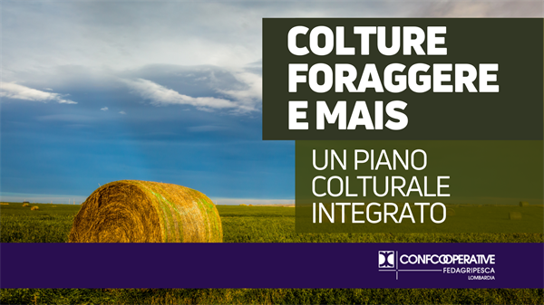 Colture foraggere e mais: un piano colturale integrato