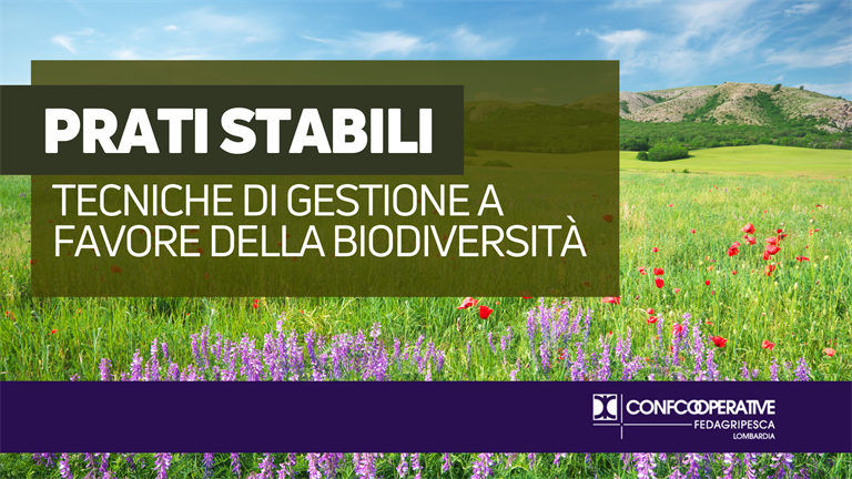 Il territorio dei prati stabili: tecniche di gestione a favore della biodiversità