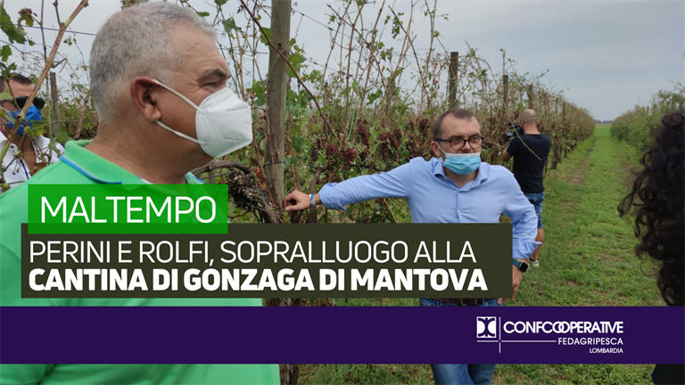 Maltempo: Perini e Rolfi, sopralluogo alla Cantina di Gonzaga di Mantova