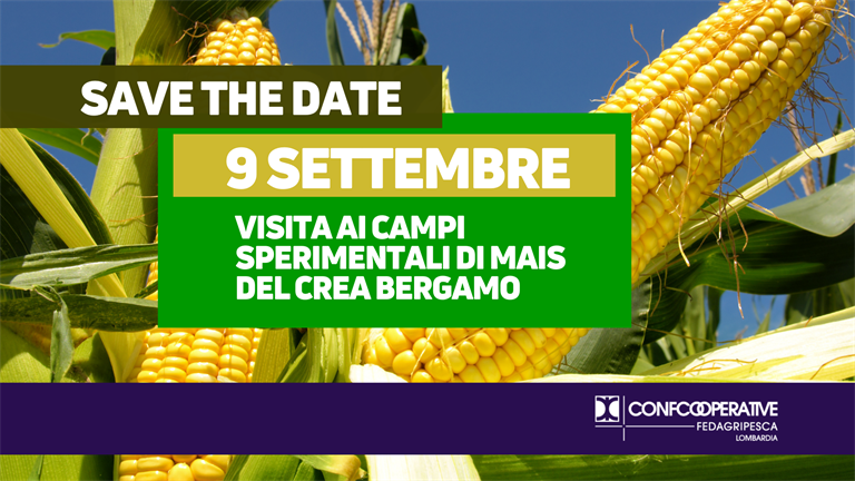 SAVE THE DATE 9 settembre | Visita ai campi sperimentali di mais del CREA Bergamo