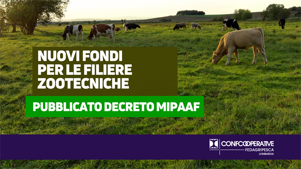 Nuovi fondi per le filiere zootecniche