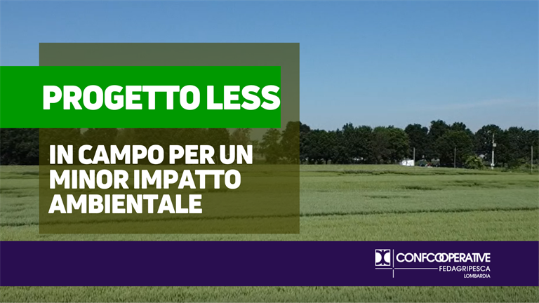 In campo per un minor impatto ambientale: confronto fra varietà di cereali