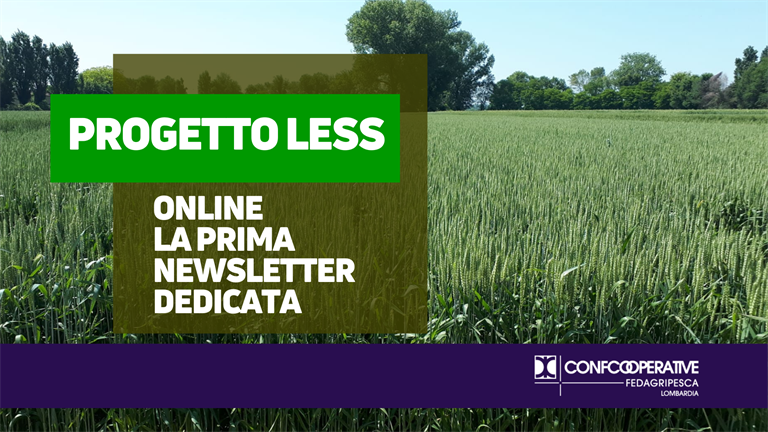 Online la prima newsletter dedicata al progetto LESS