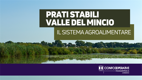 I prati stabili della Valle del Mincio: il sistema agroalimentare tra equilibrio territoriale e cooperazione