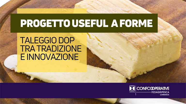 Con il progetto USEFUL soluzioni innovative per i formaggi DOP