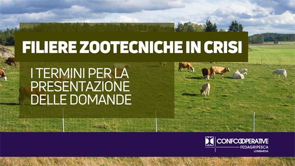 Filiere zootecniche in crisi, i termini per la presentazione delle domande