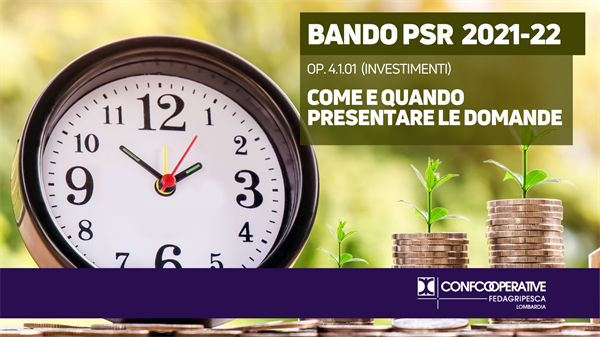 BANDO PSR – Op. 4.1.01 (INVESTIMENTI) – Come e quando presentare le domande