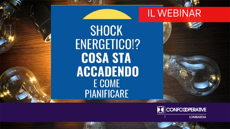 Il webinar "Shock energetico!? Cosa sta accadendo e come pianificare il 2022”