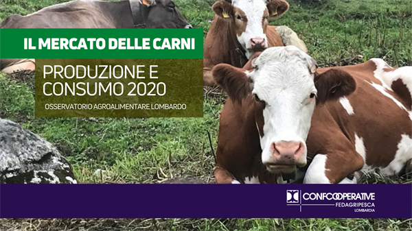 Il mercato delle carni bovine, ovicaprine e avicunicole, produzione e consumo 2020