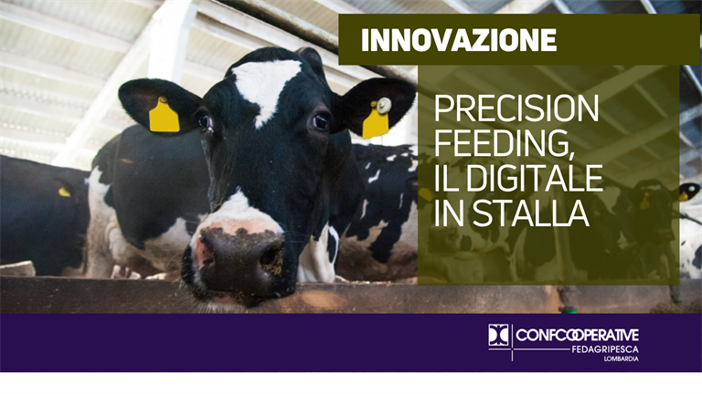 Precision feeding, il digitale in stalla per efficientare i sistemi di alimentazione degli animali
