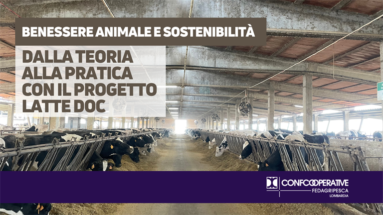 Benessere animale e sostenibilità ambientale, dalla teoria alla pratica