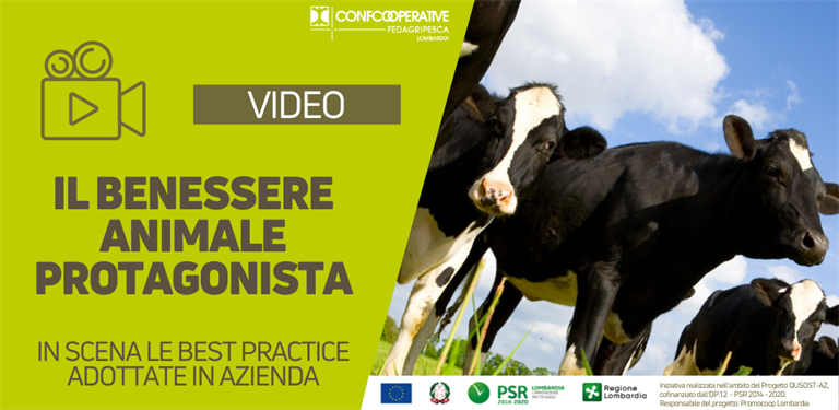 VIDEO | Webinar Il Benessere animale protagonista