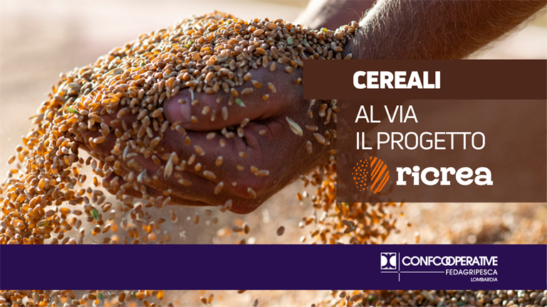 Al via il progetto “RICREA: Valorizzazione dei rifiuti cerealicoli per il biorisanamento"