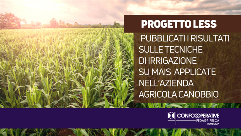 Progetto LESS, pubblicati i risultati sulle due tecniche di irrigazione su mais applicate nell’azienda agricola Canobbio