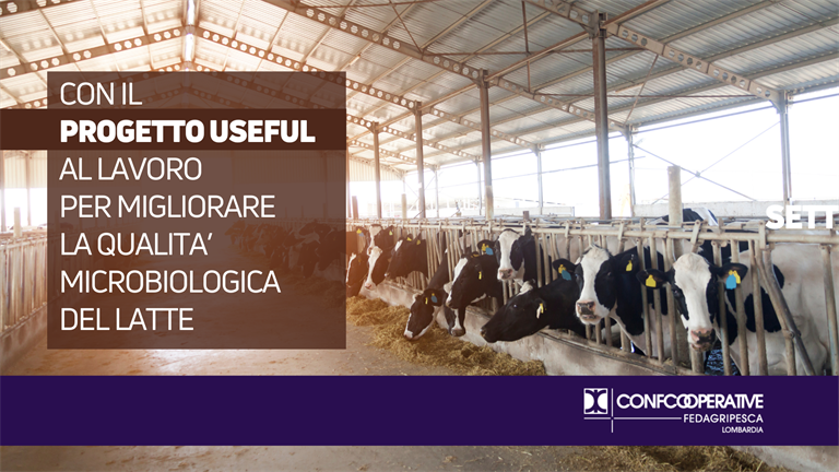Con il progetto USEFUL al lavoro per migliorare la qualità microbiologica del latte