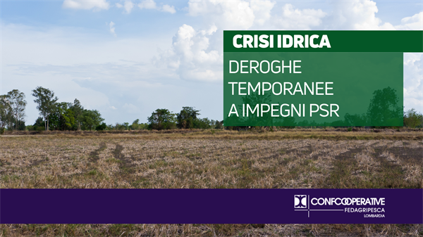 Crisi idrica, deroghe temporanee agli impegni PSR