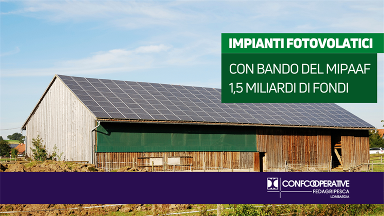 Impianti fotovoltaici, con bando del MIPAAF 1,5 miliardi per gli interventi