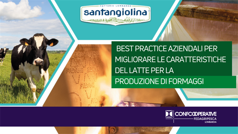 Best practice aziendali per migliorare le caratteristiche del latte per la produzione di formaggi