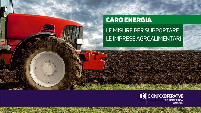 Caro energia, le misure a supporto delle imprese agroalimentari