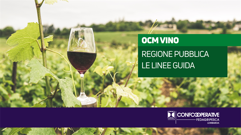 OCM VINO, approvate da Regione le linee guida