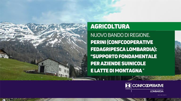 Agricoltura, nuovo bando di Regione. Perini (Confcooperative FedAgriPesca Lombardia): “Supporto fondamentale per aziende suinicole e latte di montagna”