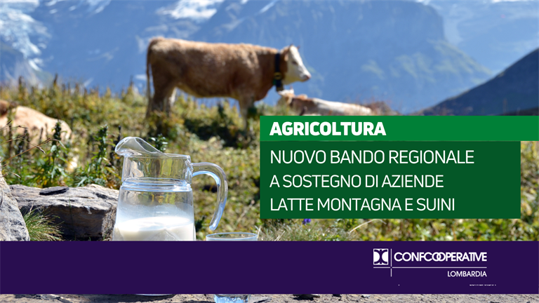 Agricoltura, nuovo bando di Regione per sostenere aziende latte di montagna e suini