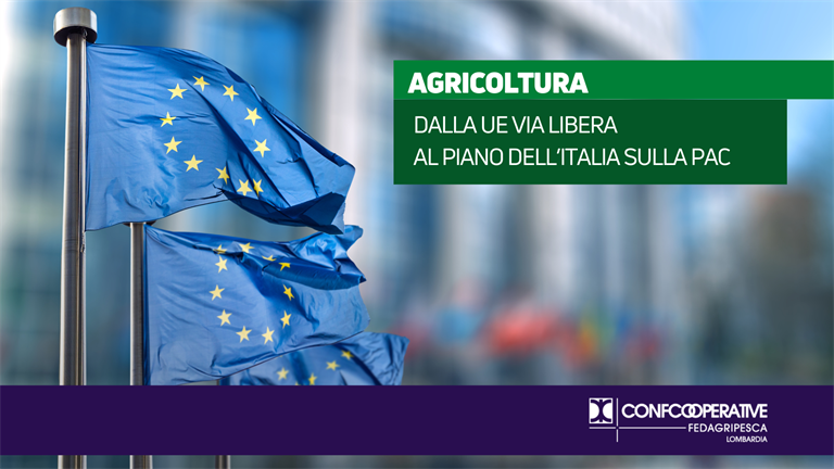 Agricoltura, dalla UE via libera al Piano dell’Italia sulla PAC