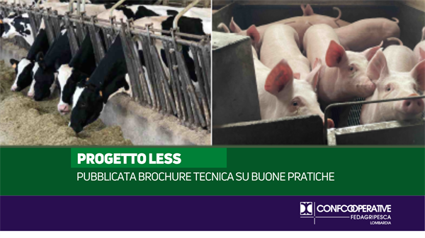 Progetto LESS, pubblicata brochure su buone pratiche