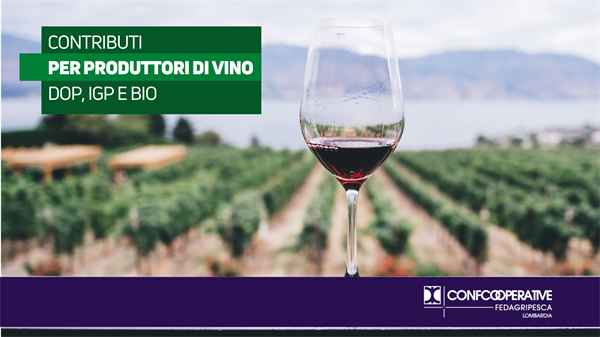 Investimenti digitali, contributi per produttori di vino DOP, IGP e bio