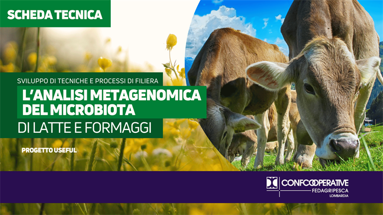 L’analisi metagenomica del microbiota di latte e formaggi nel progetto USEFUL