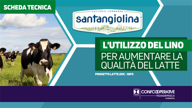L’Uso del lino nella razione tra le attività svolte nel corso del progetto LATTE DOC