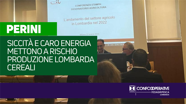 Cereali, Perini: “siccità e caro energia mettono a rischio produzione lombarda”