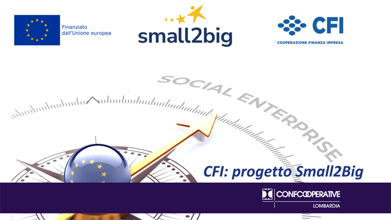 Small2big, bando CFI capitalizzazione imprese sociali. La presentazione del progetto