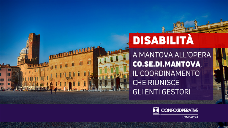 Disabilità, a Mantova all’opera Co.Se.Di.Mantova, il coordinamento che riunisce gli enti gestori