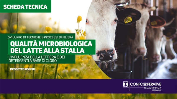 PROGETTO USEFUL | Detergenti e lettiere, l’influenza sul microbiota del latte crudo per la produzione di Grana Padano DOP