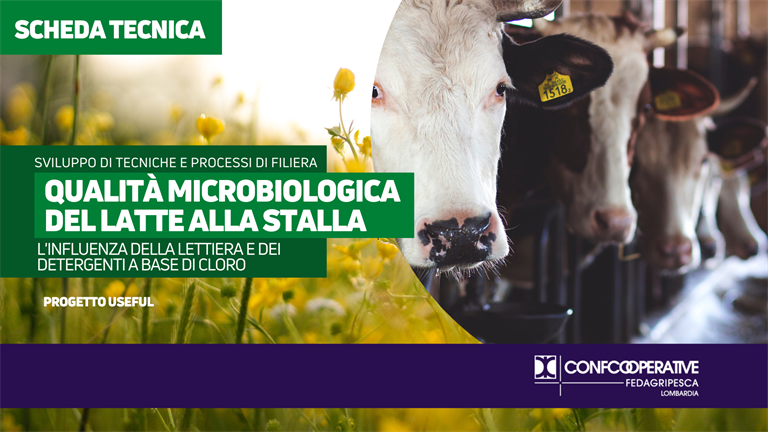PROGETTO USEFUL | Detergenti e lettiere, l'influenza sul microbiota del latte crudo per la produzione di Grana Padano DOP